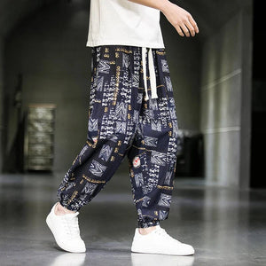 Urban street style baggy harem pants